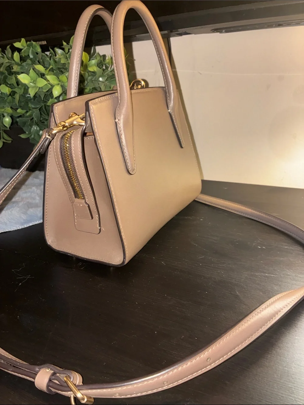 Coach Andrea Carryall Bag
